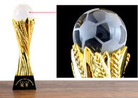 Изготовленная на заказ чашка трофея смолы с хрустальным шаром для конца футбола - награды года